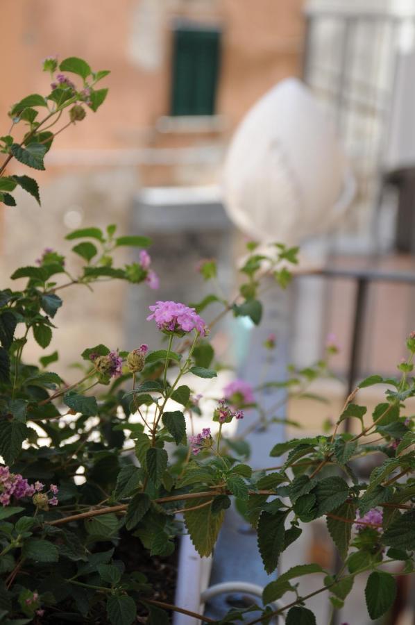 B&B Vin E Va Bari Ngoại thất bức ảnh